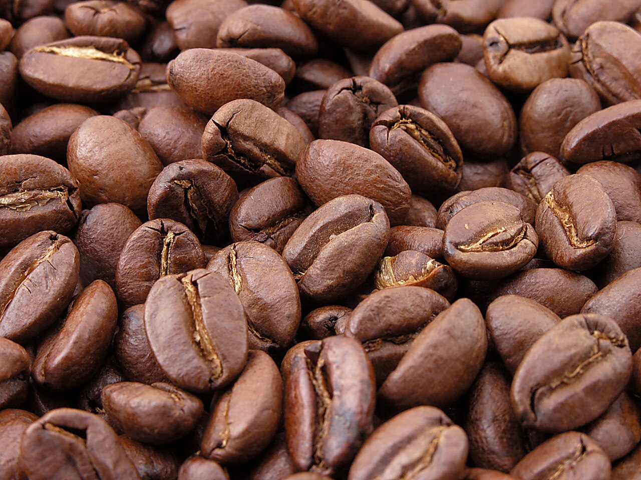 BarTok's Blackline Coffee